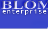 Blom Enterprises